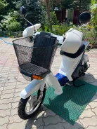 Suzuki Mollet. 49����. ��., ��������, ���������, ��� ������� ����
