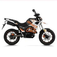 Rockot Motors Tekken-Hound. 250����. ��., ��������, ���, ��� ������� ����