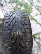 Constancy. �����������, 2021 ���, �/�, ����� 10 % ����