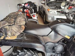 Yamaha Grizzly. ��������, ���� ���\���, � �������� ����