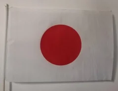 ���� ����