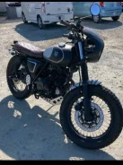 Mutt Mastiff. 250����. ��., ��������, ��� ���, ��� ������� ����