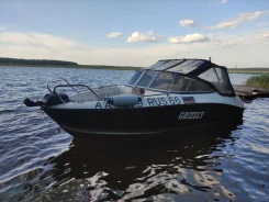 Grizzly 490 DC. 2013 ���, ����� 4,9��., ��������� ���������, 60��.�., ������ ����