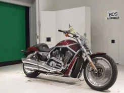 Harley-Davidson V-Rod. 1 100����. ��., ��������, ���������, ��� �������. ��� ����� �� ����� ����