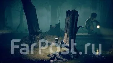 ����. ����