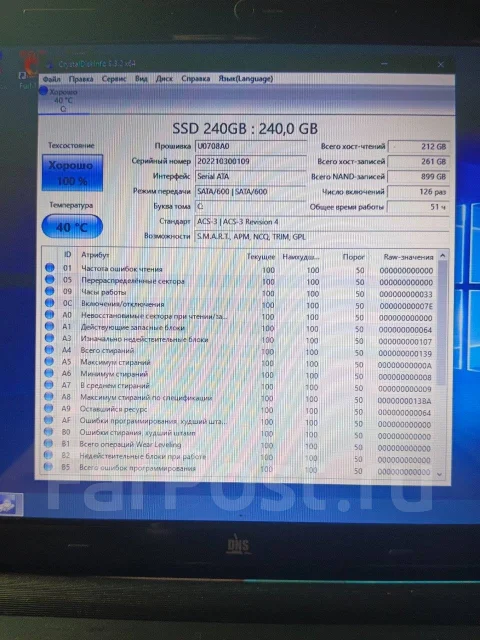 DNS. 15.6", 2,4����, ��� 16 ��, ���� 240���, WiFi: 1, Bluetooth: 1, ����������� �� 1��. ����