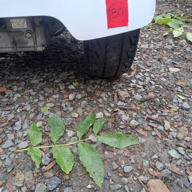 Honda Gyro X TD02. 49����. ��., ��������, ��� ���, ��� �������. ��� ����� �� ������������ ����