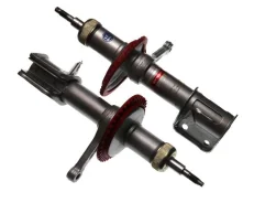 ������ 2110 SS-20 �������� (�������) SS20106 ����