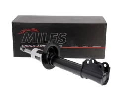 ������ ��������������� Miles DG11025 DG11025 ����