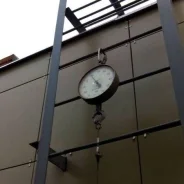 ��������. ����