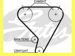 ������ ��� Gates 5448XS 5448XS ����