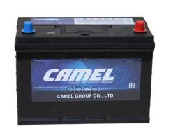 Camel