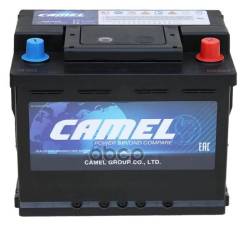 Camel