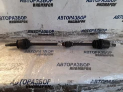 ������ �������� ������ Hyundai Accent (LC) LC, LC2 1999 - 2012 4950025210 4950025210 ����