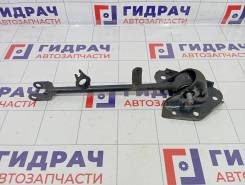     Renault Arkana 551117544R 551117544R 