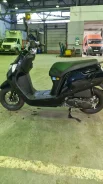 Honda Dunk. 50����. ��., ��������, ��� ������� ����