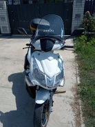 Irbis Grace. 180����. ��., ��������, ��� ���, ������ �� �� ����