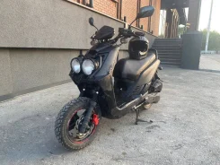 Irbis BWS. 150����. ��., ��������, ��� ���, ������ �� �� ����