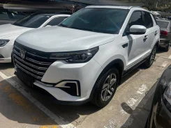 Chery Tiggo T11 ����