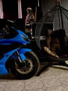 Yamaha YZF-R6. 600����. ��., ��������, ���������, ������ �� �� ����