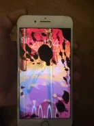 Apple iPhone 7 Plus. �/�, 32 ��, �������, 4G LTE ����