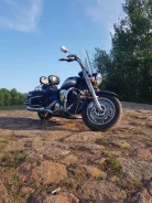 Yamaha XVS 1300. 1 300����. ��., ��������, ���������, ������ �� �� ����
