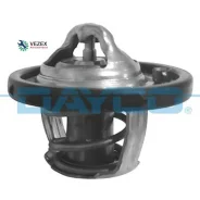 ��������� FORD Focus 1.4,1.6 98-07 (74C) Dayco DT1045V DT1045V ����