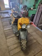 Honda Zoomer. 50����. ��., ��������, ��� ���, ������ �� �� ����