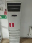 LG ����
