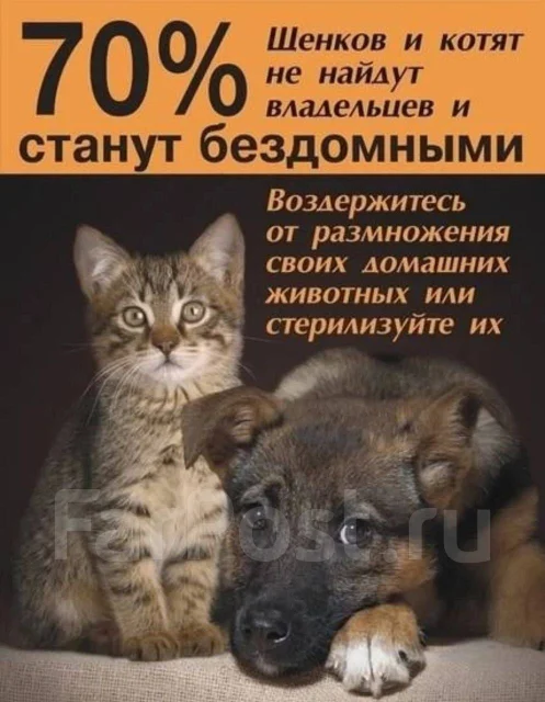 ������. ����