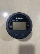 ����������. ����