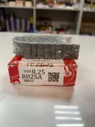 �������� �������� 1E*2E*4E-0.25 R025 R025 ����