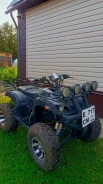 Tiger Sport. ��������, ��� ���\���, �� ����