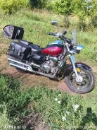 Irbis Garpia. 250����. ��., ��������, ���������, ������ �� �� ����
