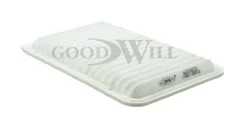 ������ ��������� Goodwill AG300ECO AG300ECO ����