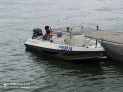 Grizzly 470 DC. 2008 ���, ����� 4,7��., ��������� ���������, 60��.�., ������ ����