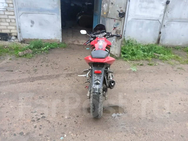 Irbis Z1. 250����. ��., ��������, ���������, ������ �� �� ����