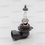 ����� HB4 12V (51W) DayNight Carberry 31CA2 31CA2 ����