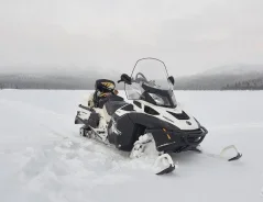 BRP Lynx Commander. ��, �� ����