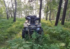 BRP Can-Am Outlander Max 650 XT. ��������, ��, �� ����
