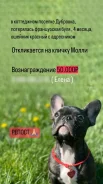����������� �������. ����