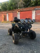 Grizzly. ��������, ��� ���\���, �� ����