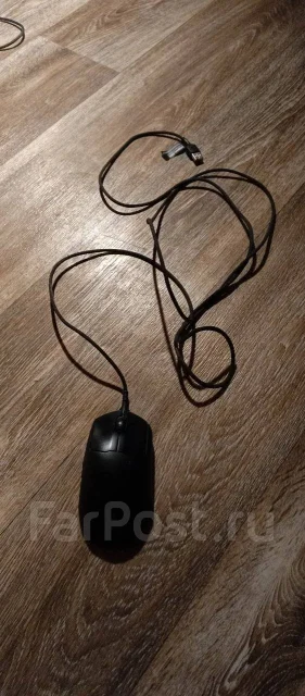 ���� ������������. ����