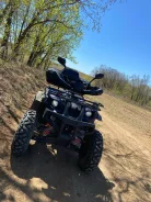Grizzly. ��������, ��, �� ����