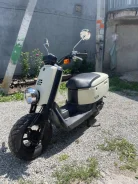 Yamaha Vox. 49����. ��., ��������, ��� ���, ������ �� �� ����
