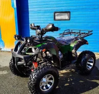 Grizzly 250. ��������, ��� ���\���, ��� ������� ����