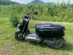 Yamaha Vox. 50����. ��., ��������, ���������, ������ �� �� ����