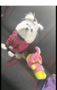 ����������� �������. ����