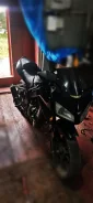 Irbis Z1. 250����. ��., ����������, ��� ���, ������ �� �� ����