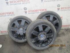 Tigar Winter A